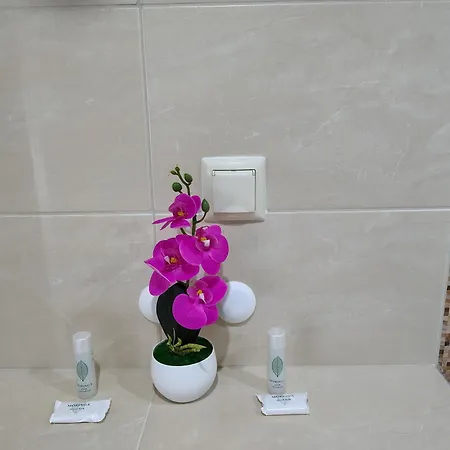 ивела * בלצ'יק