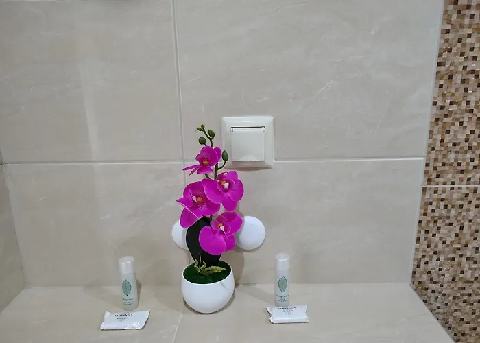 ивела * بالشيك