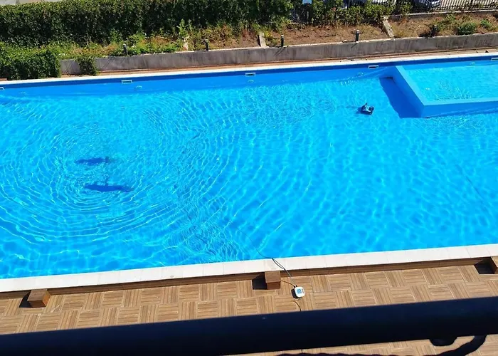 ивела * بالشيك